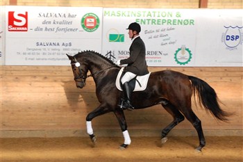 The Champ and Povl to the Ability-test in Ikast
Foto: Anette Toft